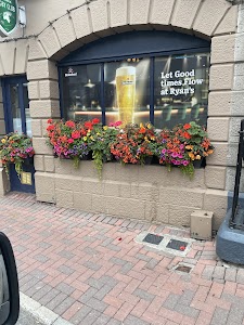 Green Tara College place picture